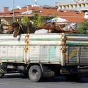 VATANDAŞI HEYECANLANDIRAN KAMYON!