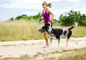 EN İYİ SPOR ARKADAŞI KÖPEKLER