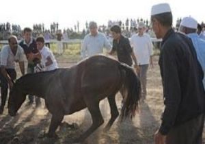 İRAN DA HİPODROM ORTASINDA VAHŞET!