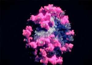 Koronavirüs ün İlk Kez Fotoğraflandı