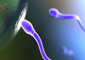 mRNA Aşısı Sperm Sayısını Arttıyorıyor