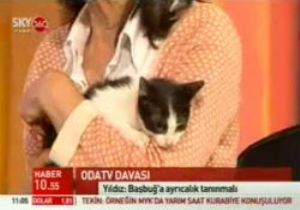 MÜYESSER YILDIZ A CANLI YAYINDA KEDİ !