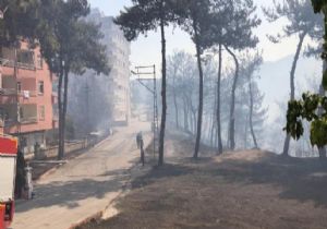 Hatay da Can Pazarı