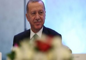 Erdoğan dan 11 Milyon Fidan Çağrısı
