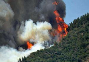 Alanya da Orman Yangını Çıktı