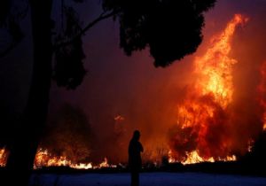 Yunanistan da Yangın Faciası, 50 Ölü