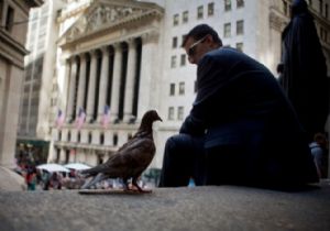 Güvercin Fed Doları Düşürdü