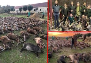 İspanya da Hayvan Katliamı