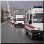 DOĞURAN İNEĞİ İÇİN AMBULANS İSTEDİ