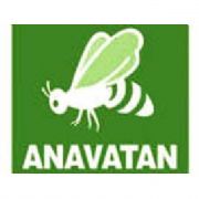 ANAVATAN A YENİ VİTRİN