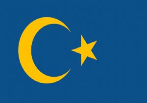 İsveç Bayrağında  Ay-Yıldız Kampanyası  