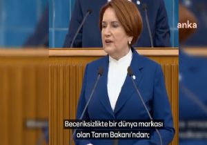 Akşener:Gecen Sene Uyarmıştım