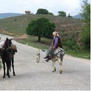 BEDAVA ARSA VERDİLER BAKAN OLMADI