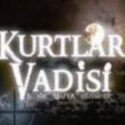 KURTLAR VADİSİ ABD BASININDA