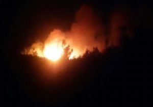 Gelibolu Yarımadası nda Orman Yangını