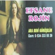 EFSANE ROJİN E POLİS DARBESİ