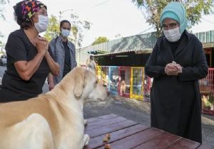 Emine Erdoğan Engelli Köpeği Sahiplendi