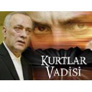 ÇAKICI KURTLAR VADİSİ NDE