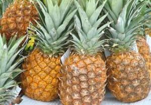 TUSKON DAN ANANAS YANITI!