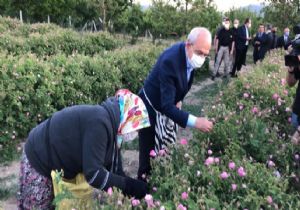 Kılıçdaroğlu Isparta dac Gül Topladı