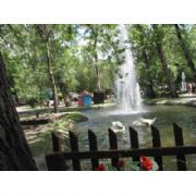 KUĞULU PARK IN HAVUZUNA KANALİZASYON SU KARIŞTI