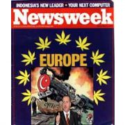 NEWSWEEK İN TÜRKİYE ENDİŞESİ