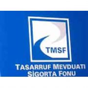 TMSF, UZAN GRUBUNA AİT 42 ŞİRKETİ TASFİYE ETTİ